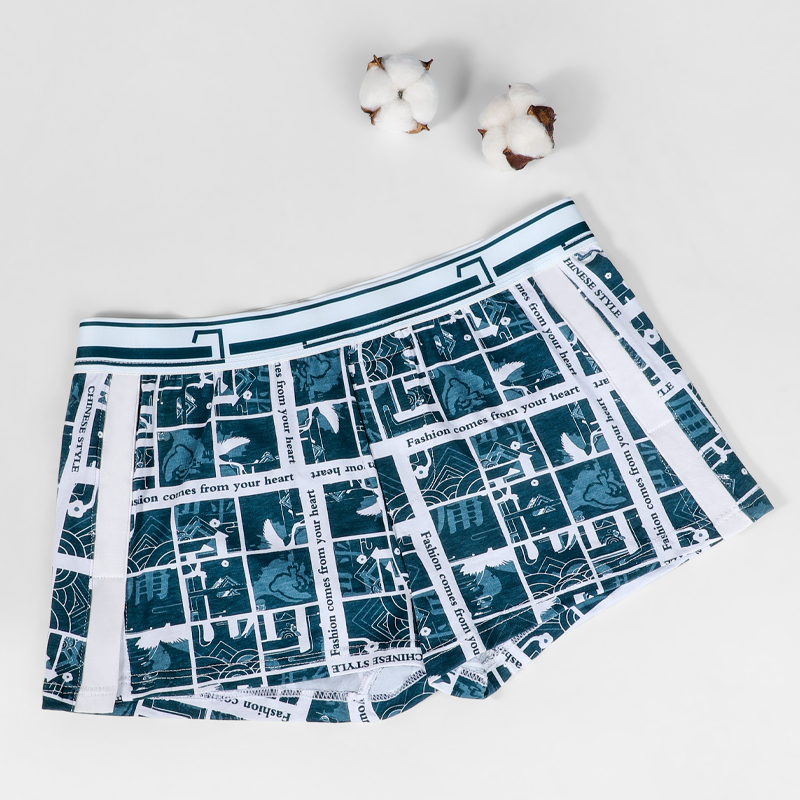 Męska bielizna, męskie, luźne, – Boxer Brief Pack Cotton recenzja i cena